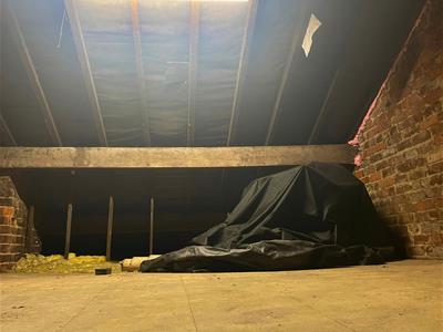 Picture 30